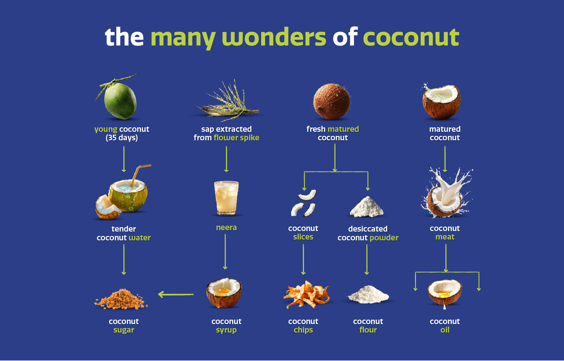 coconut wonders